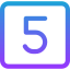 number 5 1